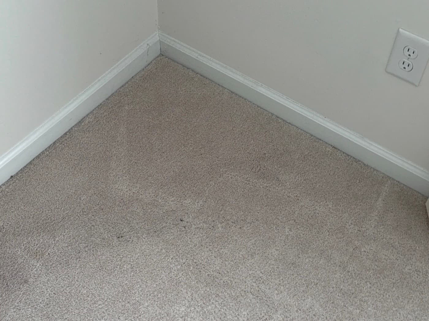 The same carpet corner after cleaning, clean to the edge